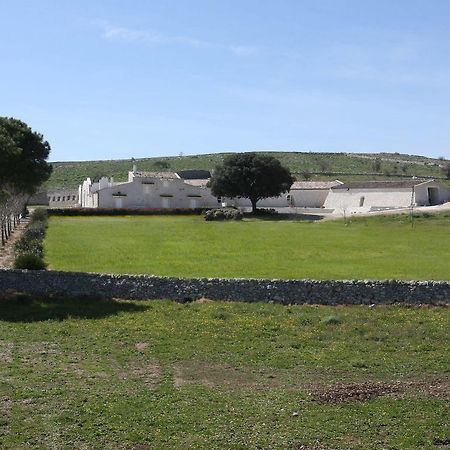 Masseria Torre Di Nebbia Castel Del Monte  Εξωτερικό φωτογραφία