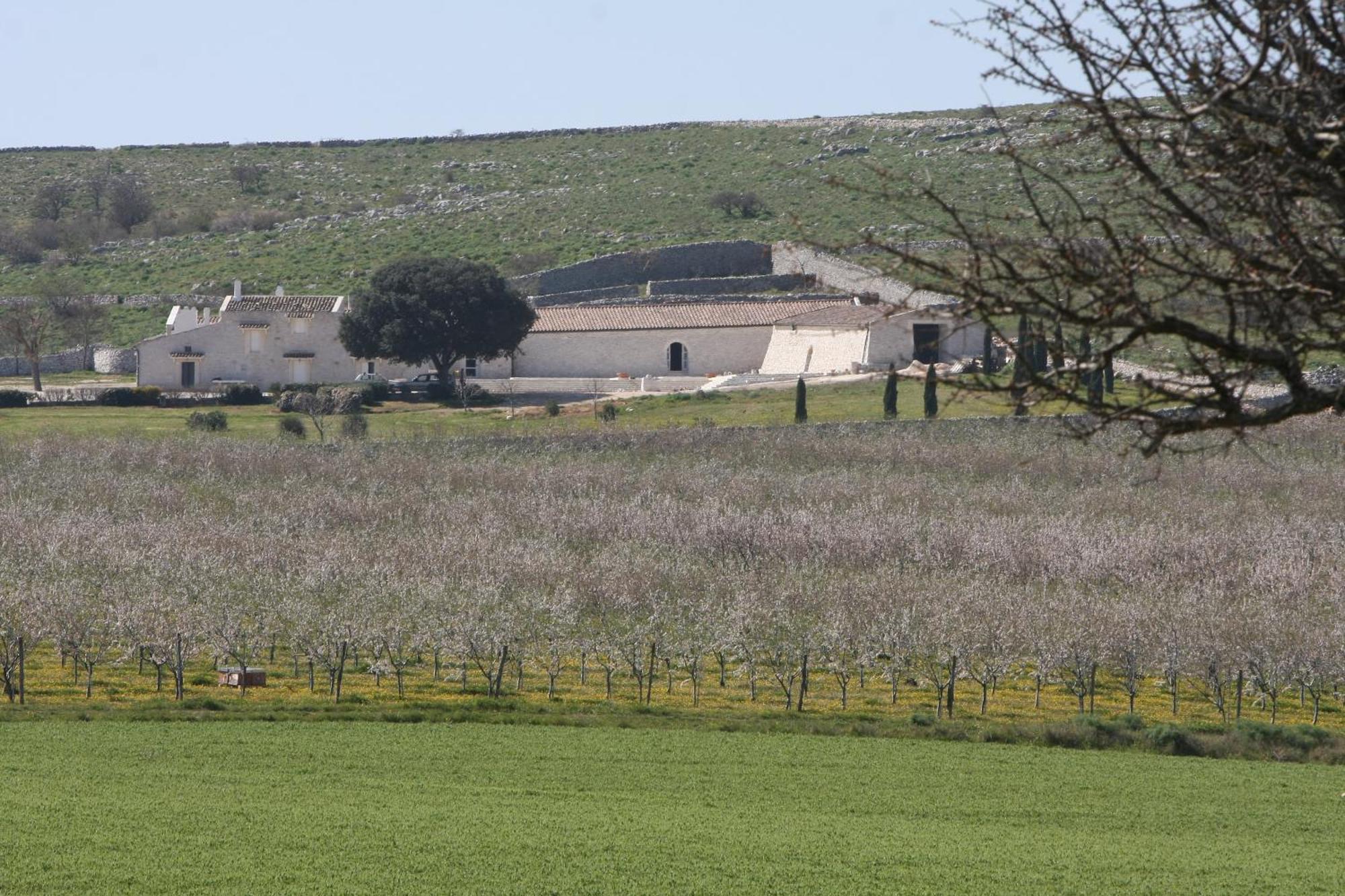 Masseria Torre Di Nebbia Castel Del Monte  Εξωτερικό φωτογραφία